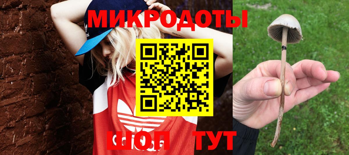 Кудрово  Галлюциногенные грибы прущие грибы  как найти наркотики  Галлюциногенные грибы ЛСД  Вход с VPN 